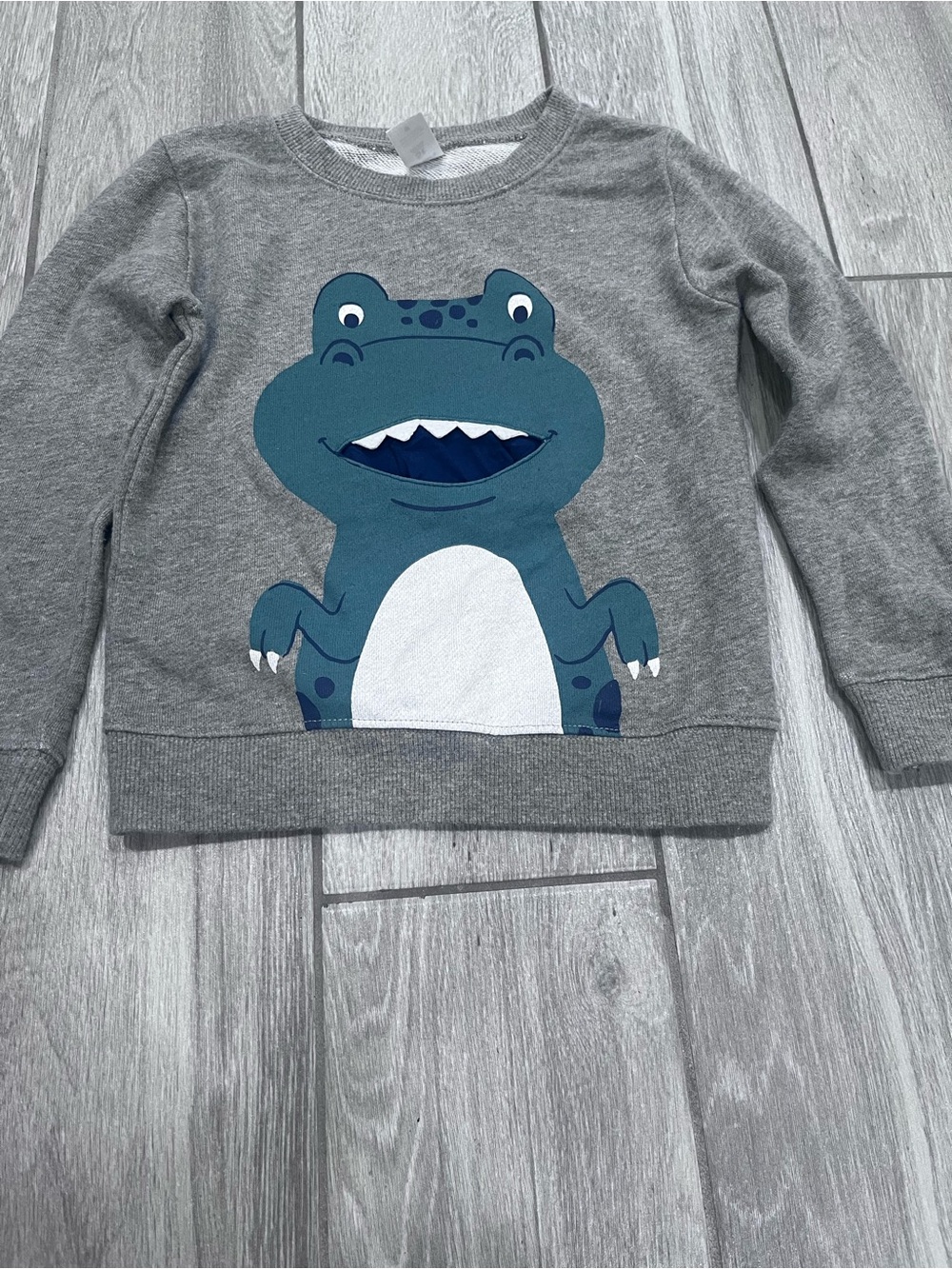 Kids Grey Sweatshirt with Green Dino Graphic